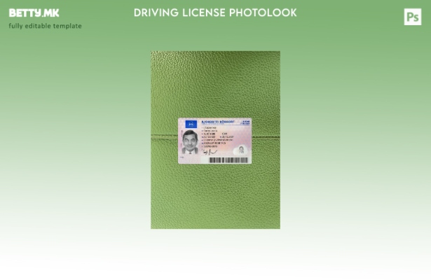 Модерен стил Финска возачка дозвола претставува преден шаблон со photolook 1